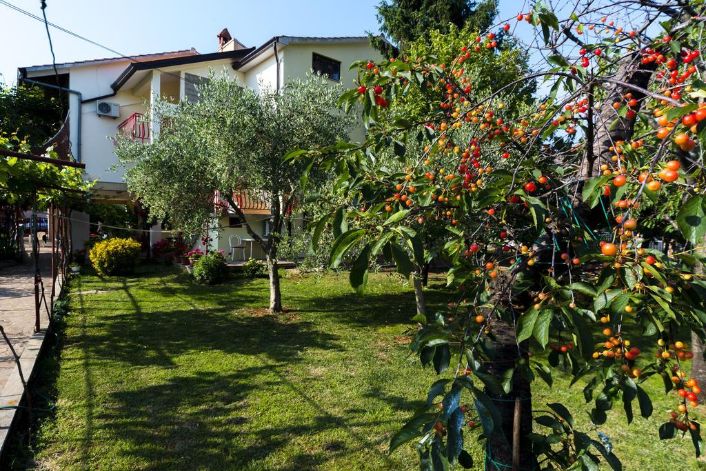 Apartments Milica Umag Bagian luar foto